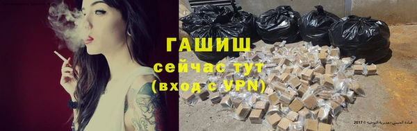 дурь Гусев