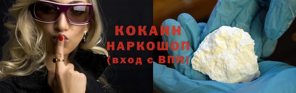 дурь Гусев